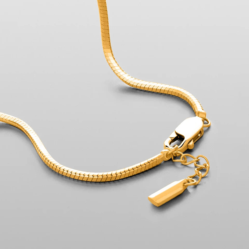 Silver Bracelet Stainless Steel Gold Plated Men's Bracelet